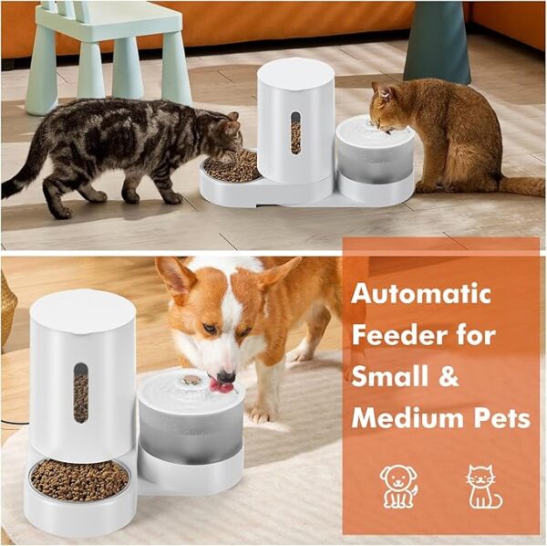 Automatic Cat Feeder with Cat Water Fountain - Image 2